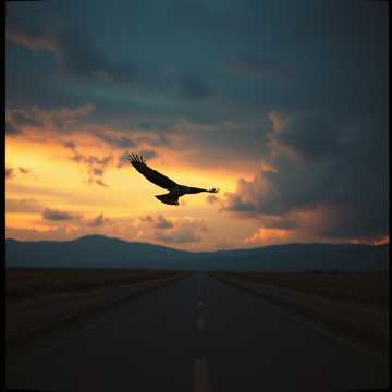 Cover van het nummer Félelem nélkül