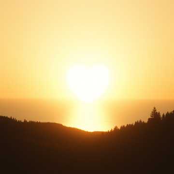 Cover av låten 森林 海洋 天空