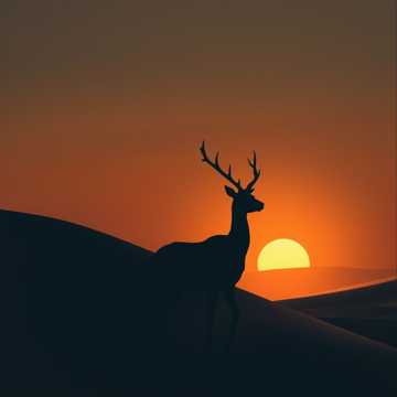 Кавер на песню ضبي غرامي [حصريا] جديد يمنيه بنكهة في عالم الفن