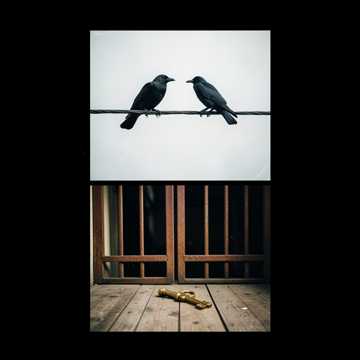 歌曲的封面Vida Loka, Ladrão