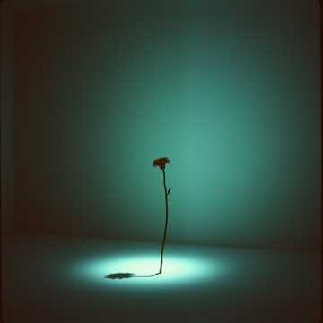 Cover of the song SOLAMENTE PIDO UN DÍA