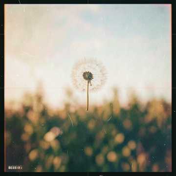 曲のカバー Te voltál a fény