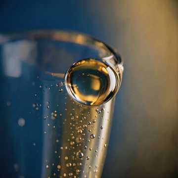 Cover of the song CHAMPAGNE SIGNALS