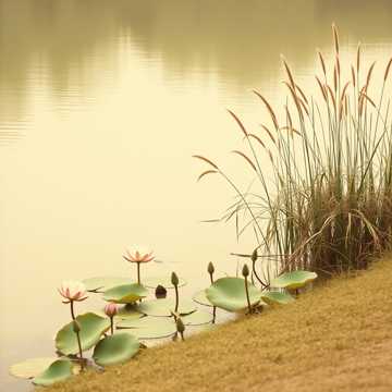 Cover of the song ริมแม่น้ำท่าจีน