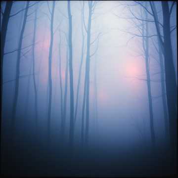 曲のカバー Dans l'ombre