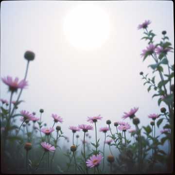 Cover of the song Orsolya