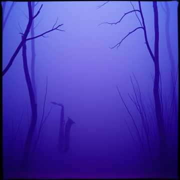 Bìa bài hát Fog and Rhythm (Neon Voodoo)
