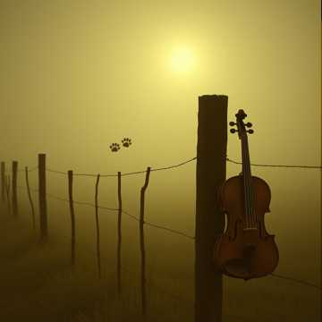 Portada de la canción Sami Swoi (Miedza i Granat)