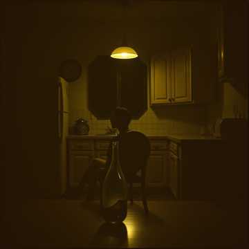 歌曲的封面l'alcool