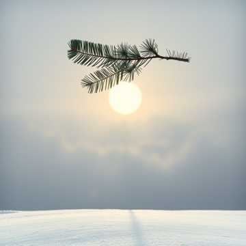 Cover des Liedes Tam, gdzie czeka się na wiosnę