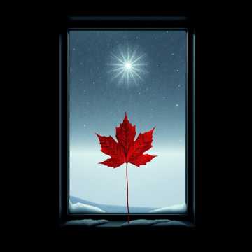 歌曲的封面Снежная грусть