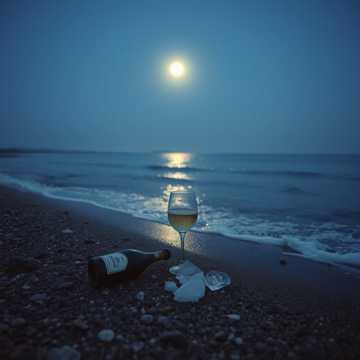 曲のカバー Ласковое море