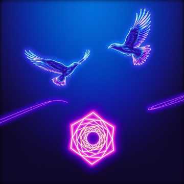 歌曲的封面Rude Birds in the Sky