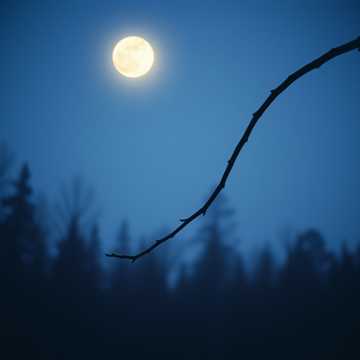 Portada de la canción اوعى