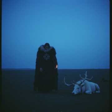 Cover of the song Die letzte Kriegerin (Hochzeit) Death Metal II