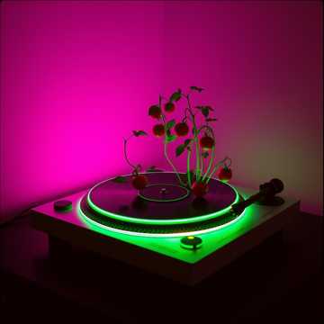 A dal borítója Агрономы в топе