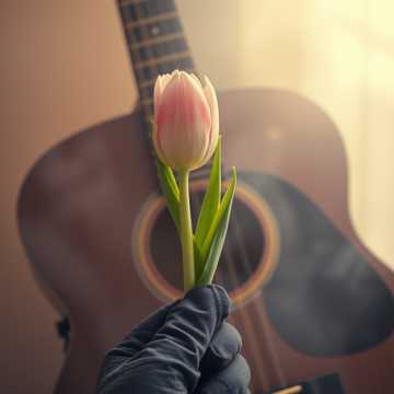 Cover av låten Розовый тюльпанчик розовы