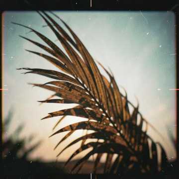 Cover of the song إسلمي يا مصر