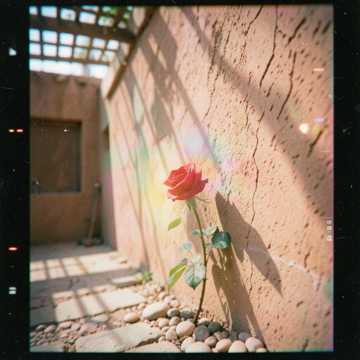 Copertina della canzone لجّونا الحلوة