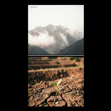 Cover of the song coplas