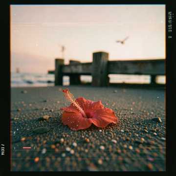 歌曲的封面Una lagrima