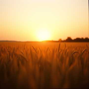 Cover av låten Księga ubogich