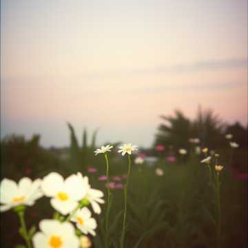 Cover of the song 时光里的唯一