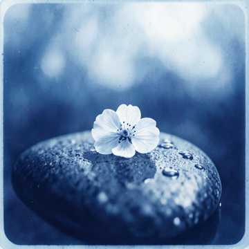 غلاف الاغنية SPRING ROMANCE — Romantic Piano & Deep House