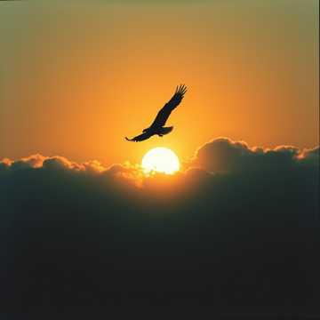 Cover of the song Aku