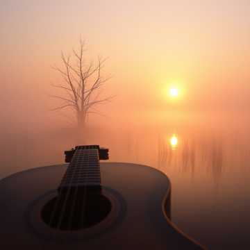 曲のカバー Hajnal van