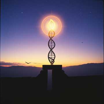 Cover des Liedes 1287 Я Жива Страж Рая Врат Лилит 13 Сефирота