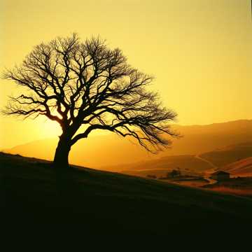 A dal borítója Созревание