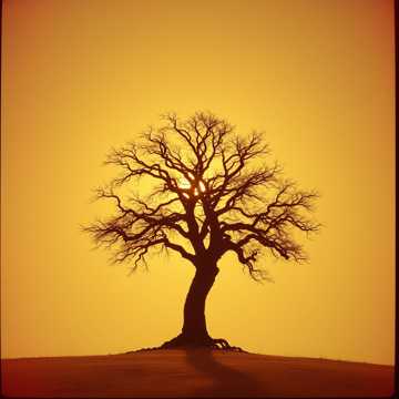 غلاف الاغنية 감사하고 고마워요!!