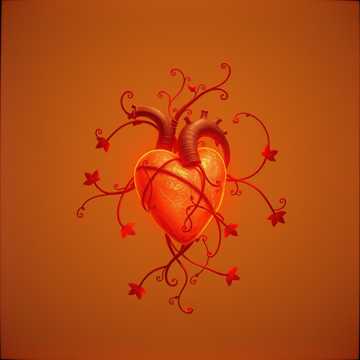 Cover van het nummer Alma gemela