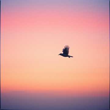 غلاف الاغنية День2