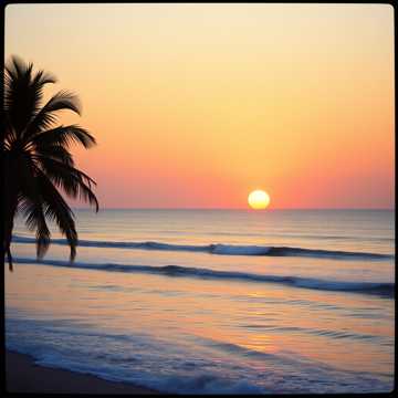 A dal borítója amor real