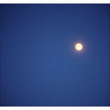 Capa da música Barkának