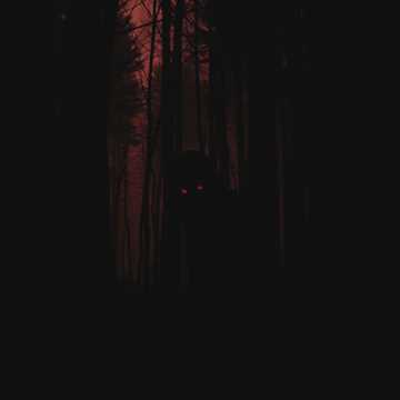 Portada de la canción Én vagyok az árnyék