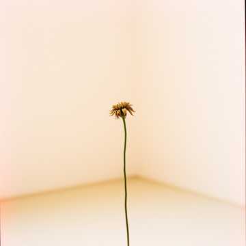 Cover utworu Teringat lagi