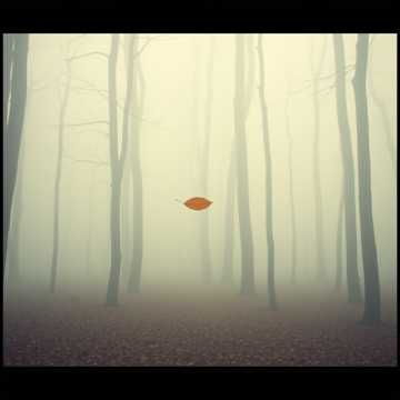 Copertina della canzone Tą piosenką żegnam Ciebie