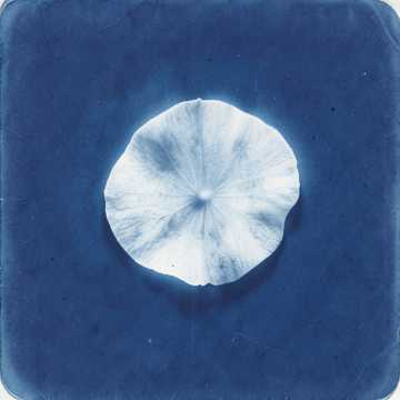 Cover of the song Ты выбрал нас