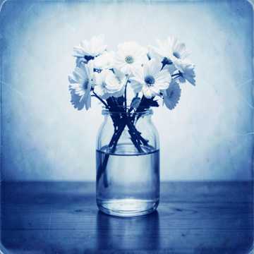 Cover of the song Luna en tu vaso