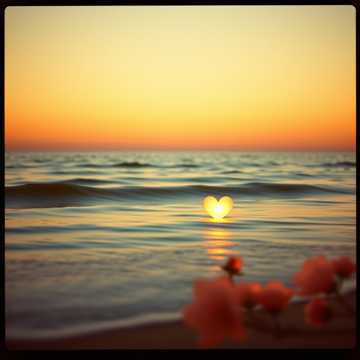 Bìa bài hát Nas quatro estaçôes