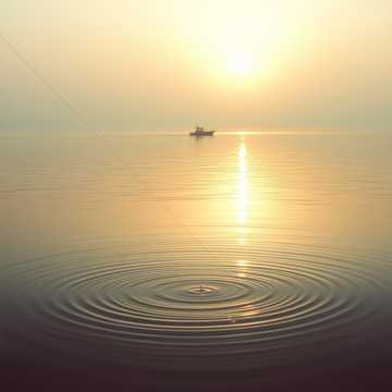 Cover utworu Ko-Vi Fishing Team