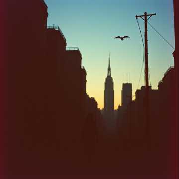 노래 표지 Entre sombra y alas