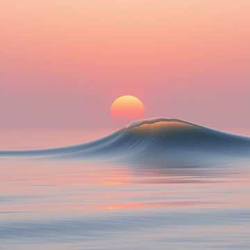 غلاف الاغنية Here comes the Schwamm