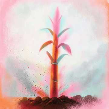 Cover of the song Caña y mas