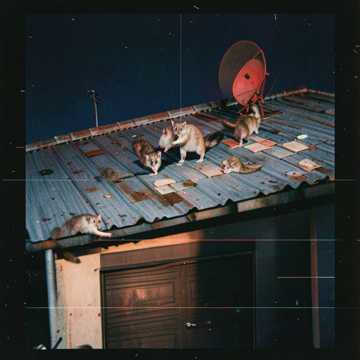 Cover of the song Kamala Nyestcsalád