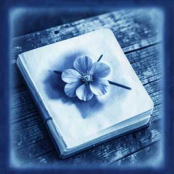 Cover of the song Gerda, tarts ki