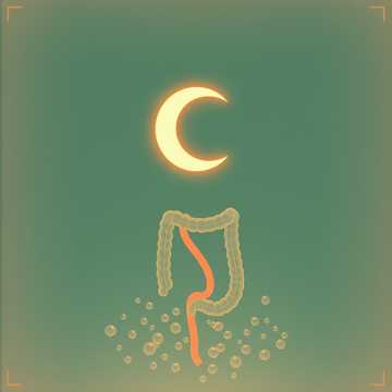 歌曲的封面Nina